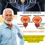 COMPRE 2 LEVE 3 - Tratamento Completo ProCap™ - Cápsulas Naturais Efeito Revitalizador